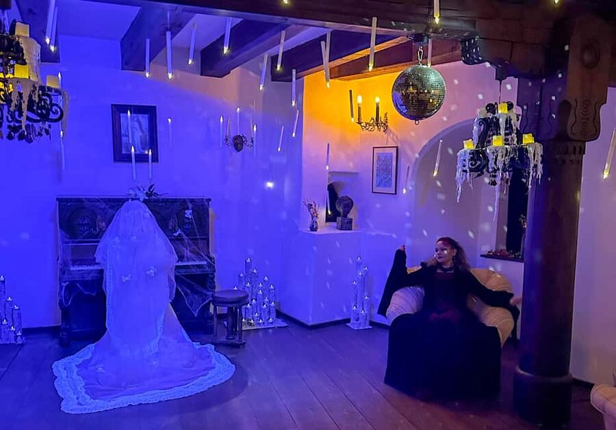 Brasov: Bran Castle Halloween Party & Night Tour + Transport - Who will enjoy this night most?