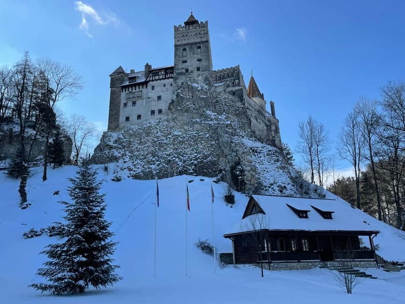 Brașov: Bran, Râșnov, and Peleș Castles Tour with Guide - Key points to know before you book