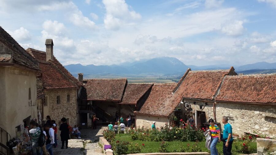 Brasov: Peles Castle, Bran Castle & Rasnov Fortress Day Tour - Timing, walking, and practical limits
