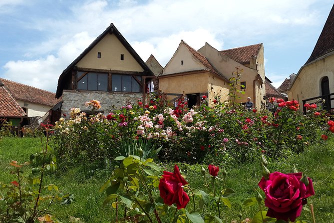 Brasov: Peles Castle, Bran Castles and Rasnov Fortress Day Tour - Bran Castle beyond the Dracula label