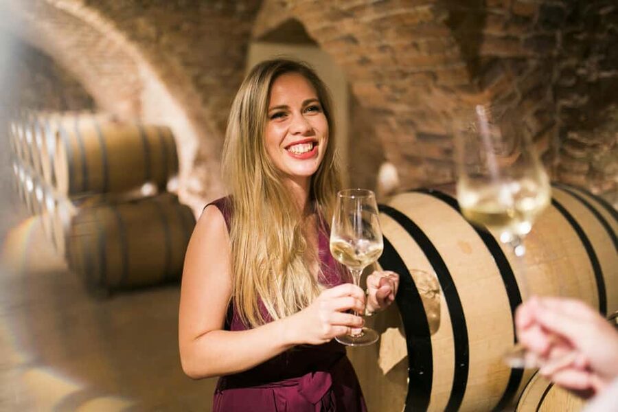 Bratislava: Devin Castle and Wine Tasting Private Tour - Why Devin Castle and wine work well together