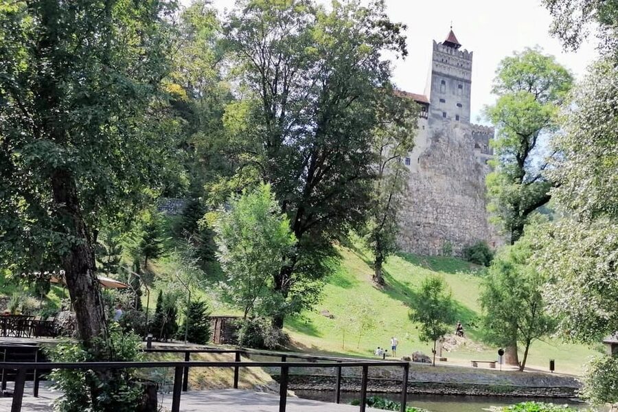 Bucharest: Bran Castle and Bear Sanctuary Small-Group Tour - Lunch, coffee, and the value of a small group