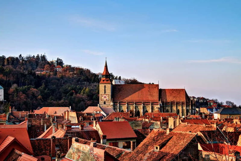 Bucharest: Day Trip to Bear Sanctuary, Bran Castle & Brasov - Key points at a glance