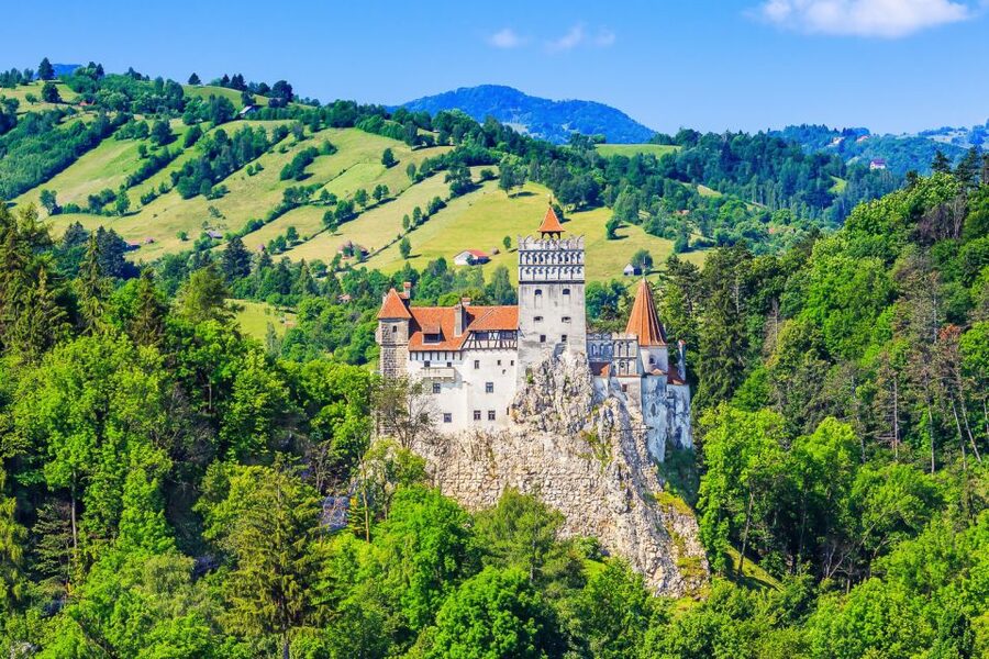 Bucharest: Day Trip to Dracula Castle, Peles Castle & Brașov - What the $45 price really buys you