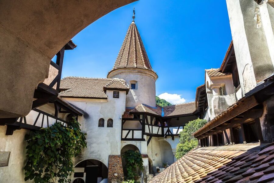 Bucharest: Day Trip to Dracula Castle, Peles Castle & Brașov - Who will enjoy this day trip