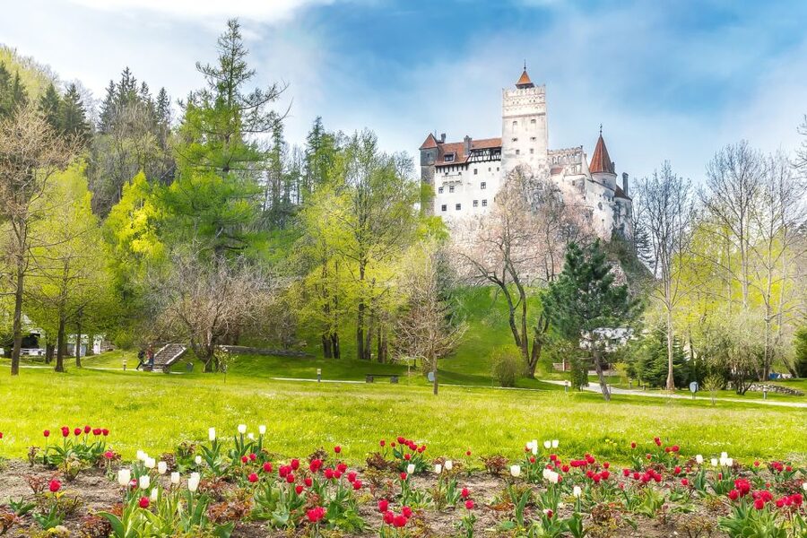 Bucharest: Day Trip to Dracula Castle, Peles Castle & Brașov - Practical ways to make the day better