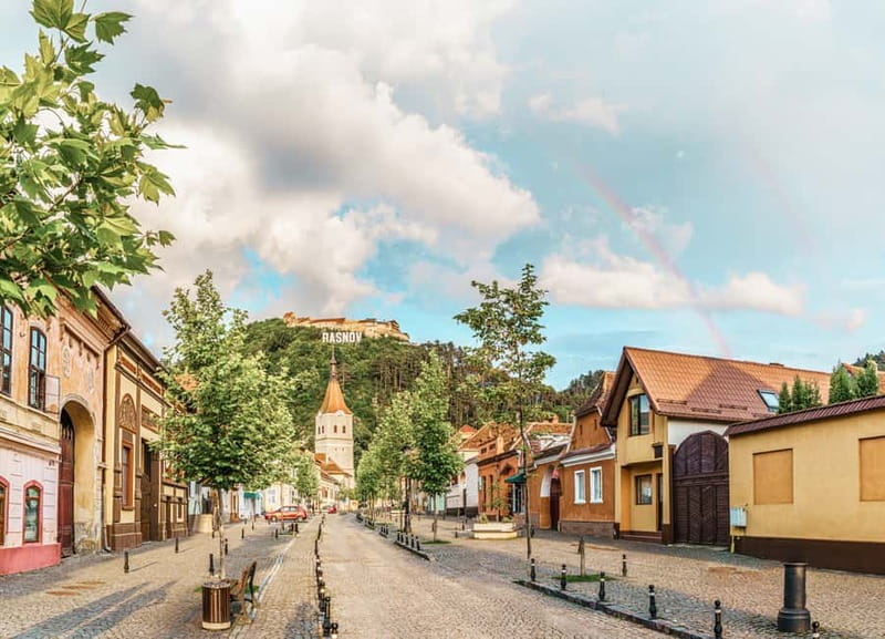Bucharest: Dracula's Castle, Peleș Castle & Brașov Day Trip - Walking and access considerations