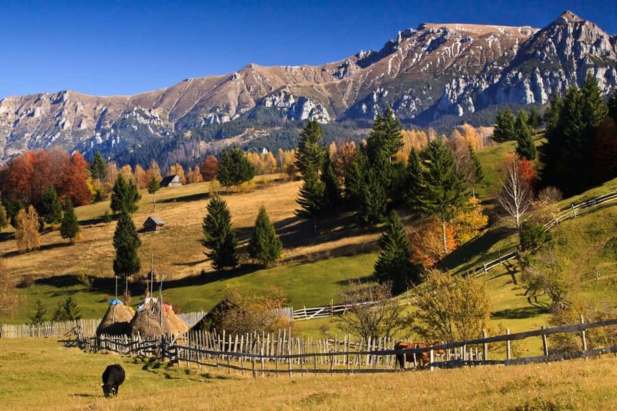 Bucharest:Dracula's Castle,''Wednesday''& Brasov Small Group - Brasov supplies the midday pause