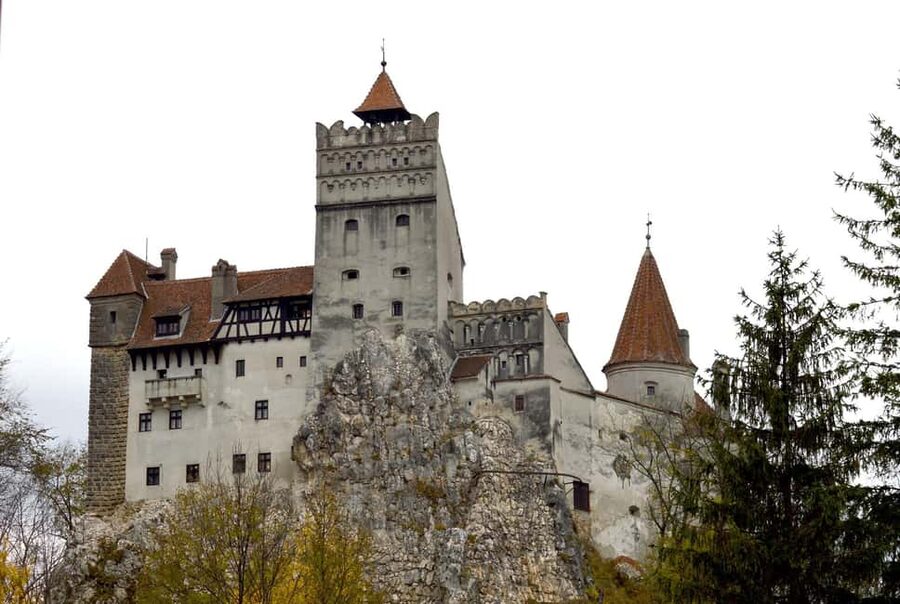 Bucharest: Peles Castle, Bran Castle & Brașov Day Tour - What the $31 price really buys