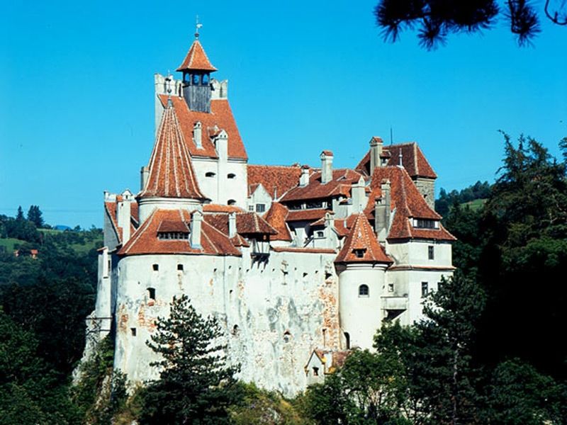 Bucharest: Peles Castle, Dracula's Castle and Brasov Tour - Brașov’s old streets and the Black Church