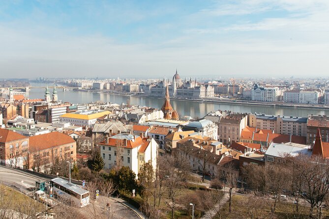 Buda Castle's Secrets with a Historian - Starting at the Holy Trinity Column
