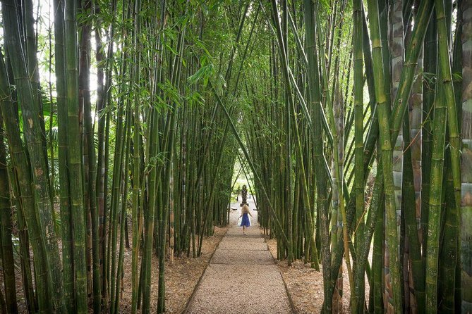 Byron Bay and Beyond Tour Including Cape Bryon Lighthouse Crystal Castle and Bangalow - What the guide adds to the day