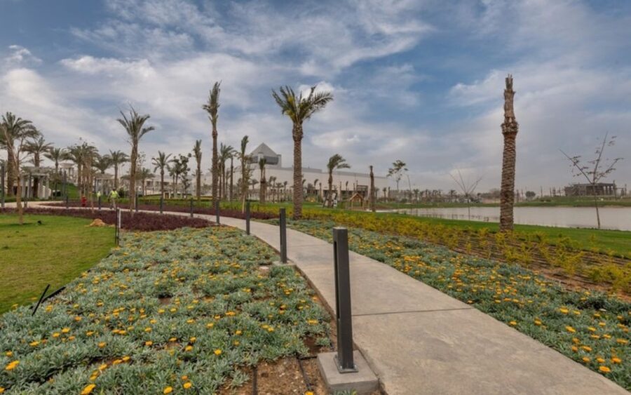Cairo: National Museum, Egyptian Museum, and Citadel Tour - Three Cairo landmarks, one long day