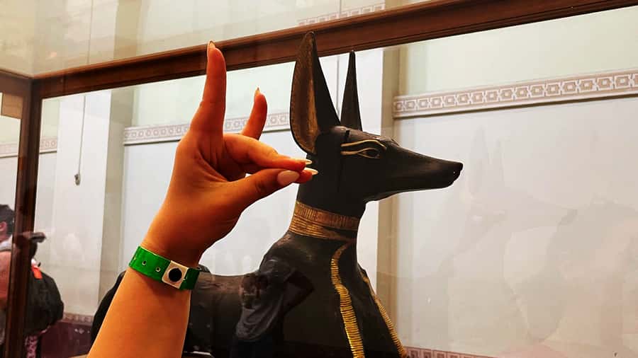 Cairo: Private Tour to Museum, Citadel & Coptic Churches - What the private format changes