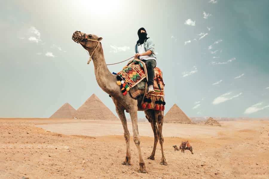 Cairo: Pyramids, Bazaar, Citadel Tour with Photographer - What $99 buys you in one Cairo day