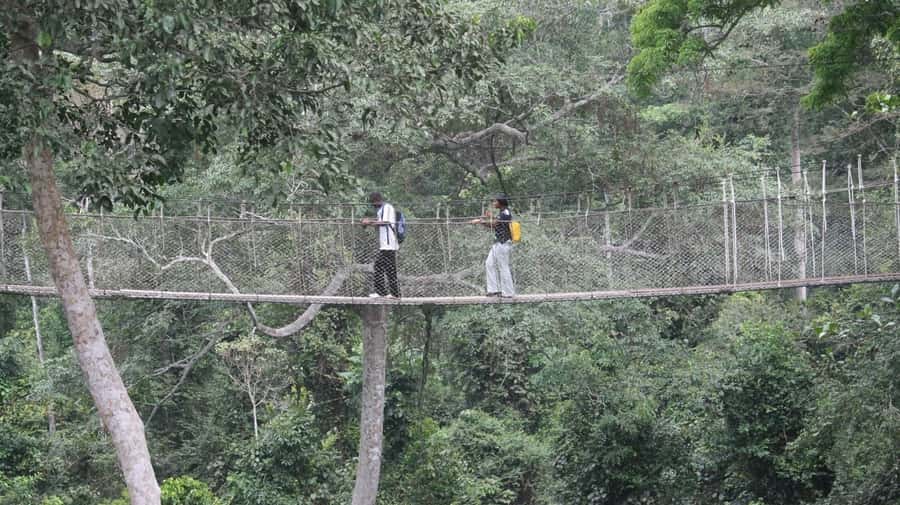 Cape Coast: Kakum National Park, Castles, & Hans Cottage - Why this day works for a first look at Ghana’s Central Region