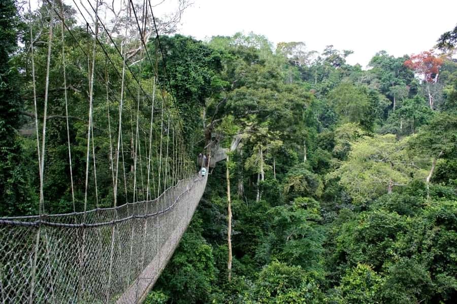 Cape Coast: Kakum National Park, Castles, & Hans Cottage - Cape Coast Castle and the weight of the dungeons
