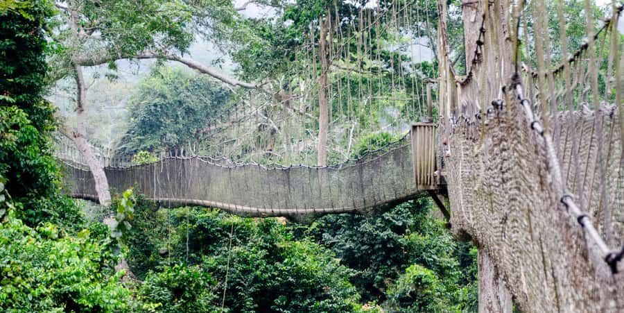 Cape Coast: Kakum National Park, Castles, & Hans Cottage - Kakum National Park and the suspended bridges