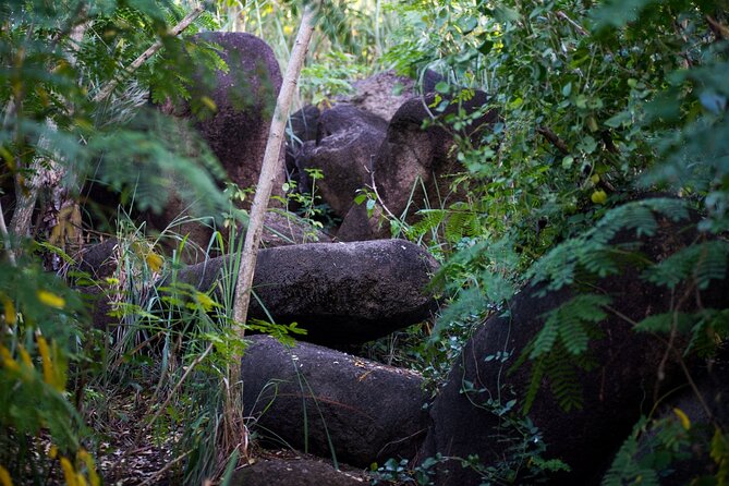 Caribbean Stonehenge - Hike on Green Castle Hill, Antigua. - What the 3 to 3.5-hour hike includes