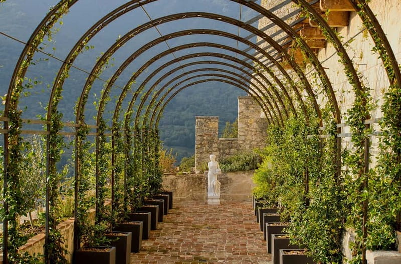 CastelBrando: Relax at a Spa inside an ancient castle - The Brandolini greenhouse and its 250-year-old palm