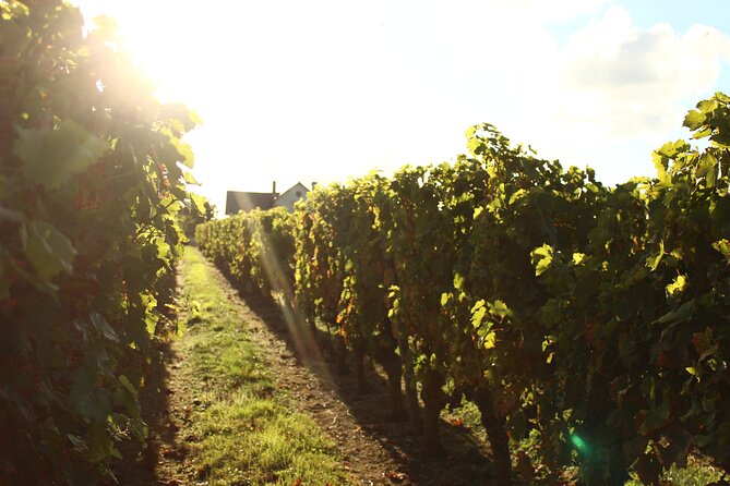 Castle Epicurean Experience with Wine & Local Specialties - What the $115.54 Price Really Covers