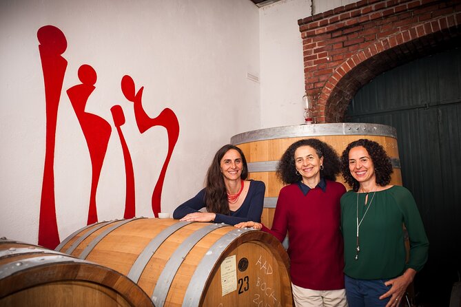 Castle Winery Tour & Tasting near Lake Maggiore - Key points to know before you book