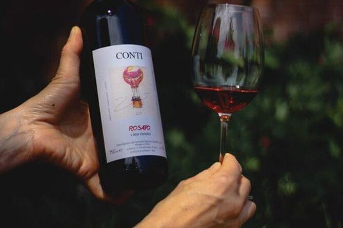 Castle Winery Tour & Tasting near Lake Maggiore - A castle winery above Maggiora