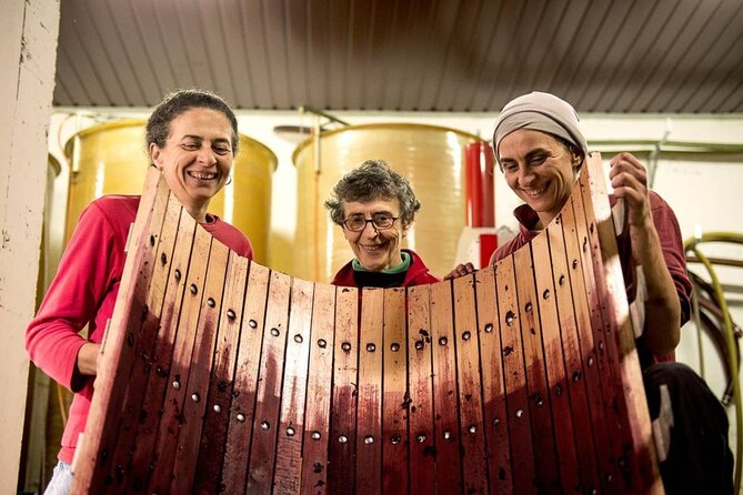 Castle Winery Tour & Tasting near Lake Maggiore - The volcanic setting and North Piedmont wines
