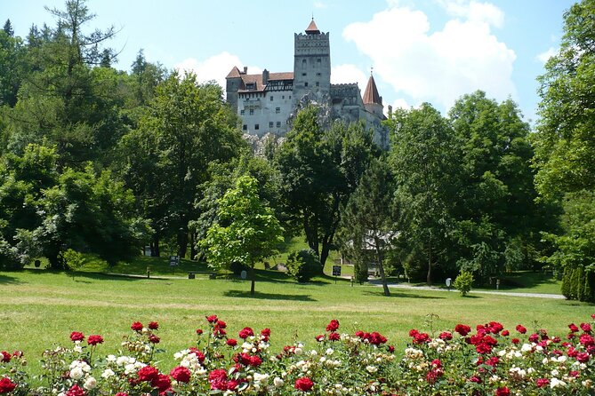 Castles Private Tour Peles - Bran - Rasnov from Brasov - Timing, crowds, and a sensible plan