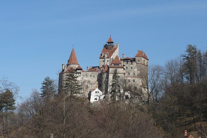 Castles Private Tour Peles - Bran - Rasnov from Brasov - Who should book this tour