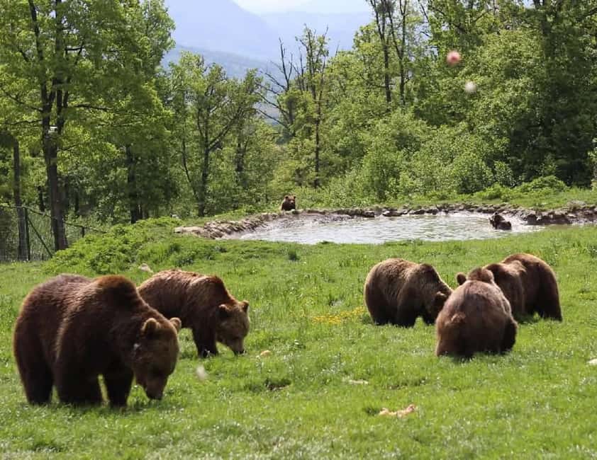 Cave Valley, Râșnov Fortress, Bran Castle & Bear Sanctuary - Râșnov Fortress and the views over Țara Bârsei