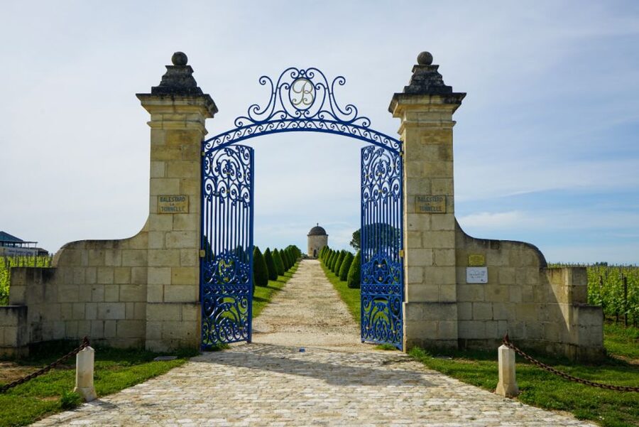 Château Balestard La Tonnelle : The "Origins" tour - Walking from the vines to the vat room