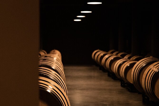 Château de Fieuzal, Pessac-Léognan: Visit and Tasting - Who should book this experience?