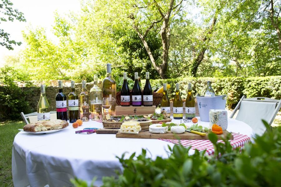 Château de Luc: Unique visit and wine tasting - Why Château de Luc is more than a quick wine tasting