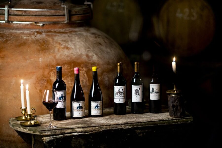 Château de Luc: Unique visit and wine tasting - Walking through the château’s historic rooms