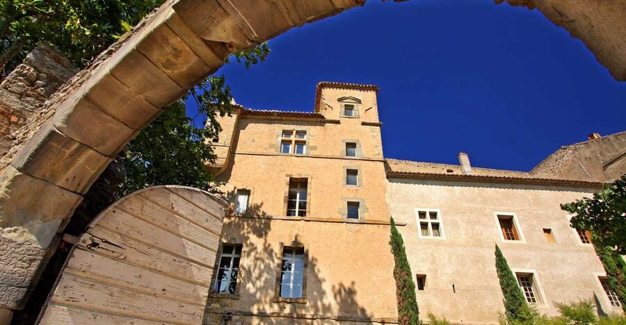 Château de Luc: Unique visit and wine tasting - The story of the Midi wine region and 1907