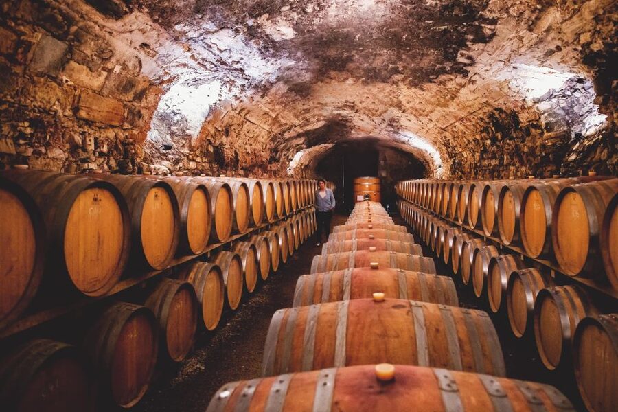 Château de Luc: Unique visit and wine tasting - Tasting organic wines in the old stable