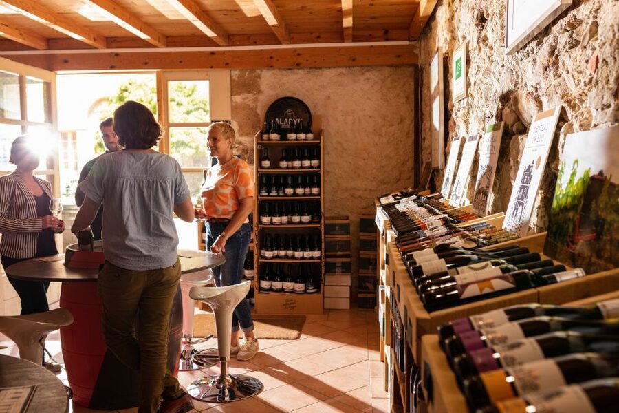 Château de Luc: Unique visit and wine tasting - Who should book Château de Luc