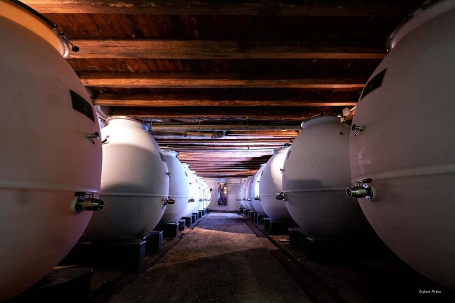 Château de Terride: tour of the wine cellar & wine tasting - A small estate below Puycelsi