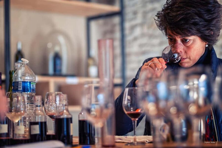 Château de Terride: tour of the wine cellar & wine tasting - Tasting Gaillac through four to six vintages