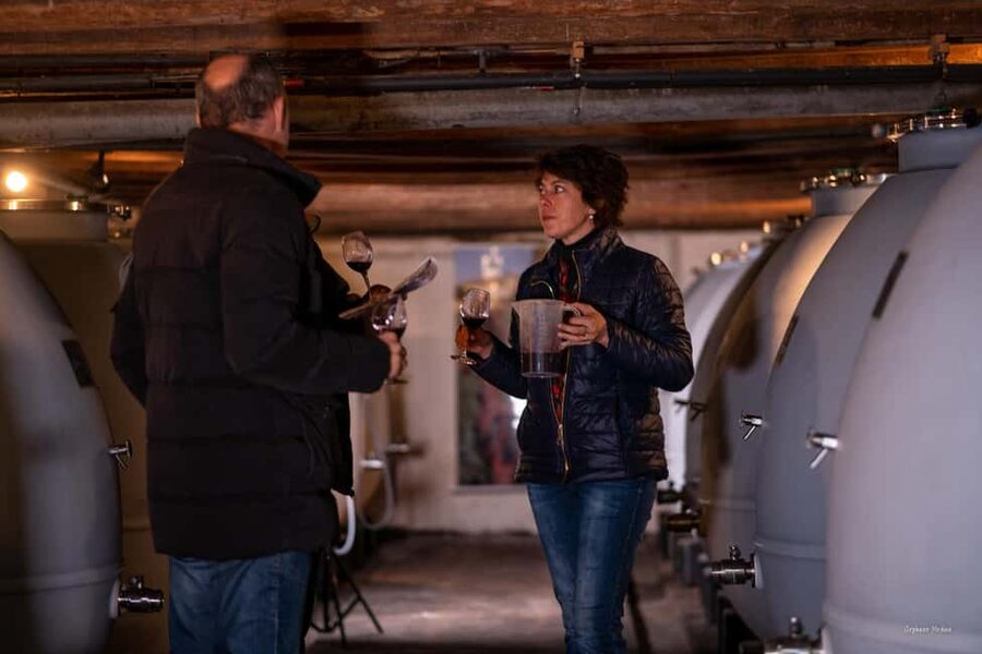 Château de Terride: tour of the wine cellar & wine tasting - The 30-minute cellar tour