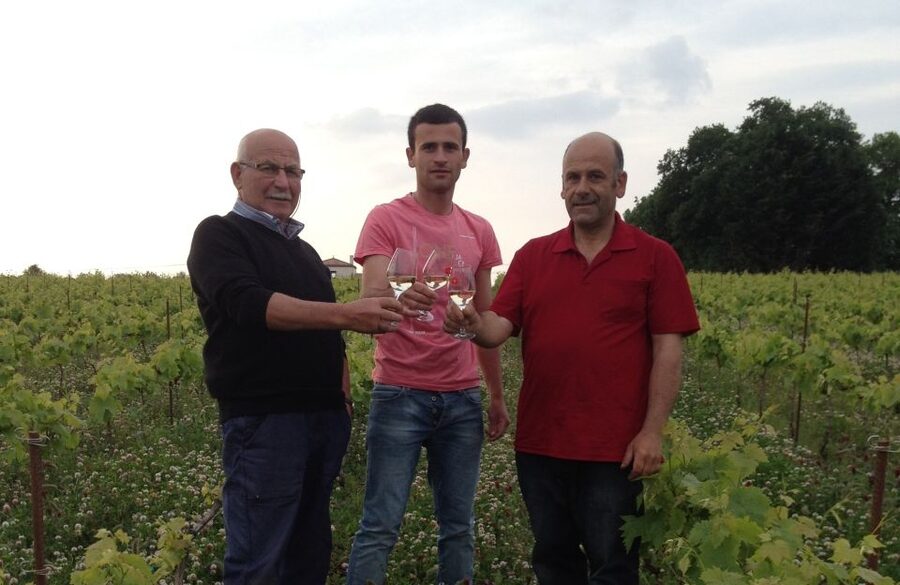 Château du Bois-Huaut: Cellar Tour and Wine Tasting Class - Key points to know before you book