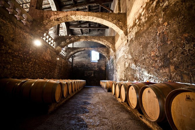 Chateau du Taillan and Park including Wine Tasting Tour - Why Château du Taillan makes a good first Bordeaux wine visit