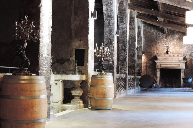 Chateau du Taillan and Park including Wine Tasting Tour - The vineyard view puts the tasting in context
