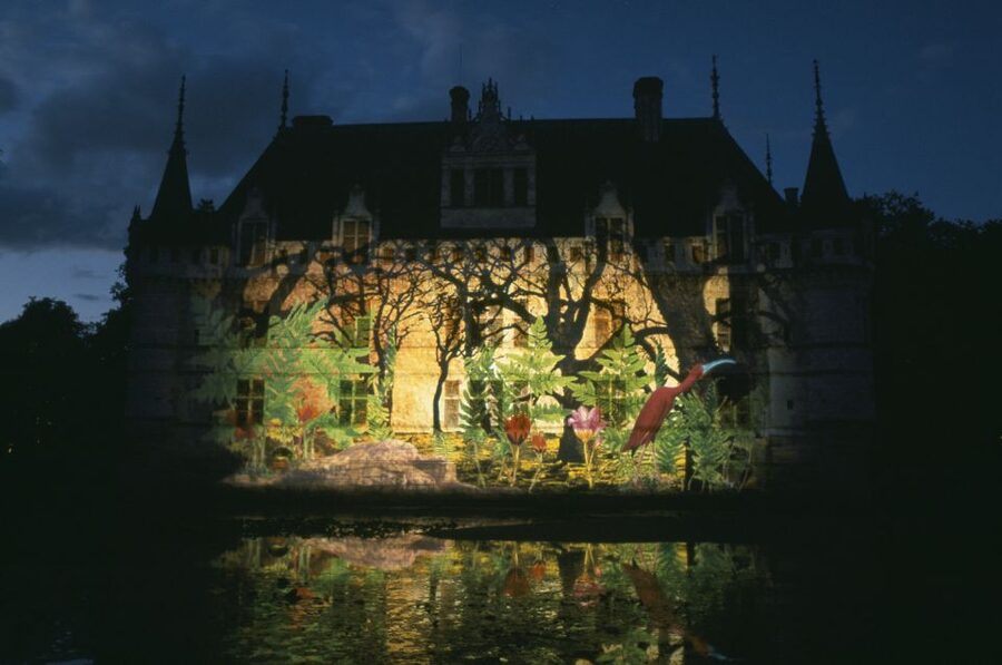 Château of Azay-le-Rideau Entry Ticket - Seeing the château from the Indre River