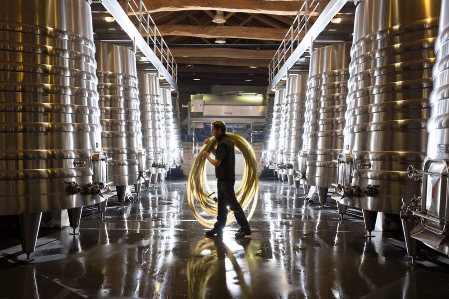 Château Olivier: One Hour Vineyard Tour with Wine Tasting - Environmental work is part of the wine story