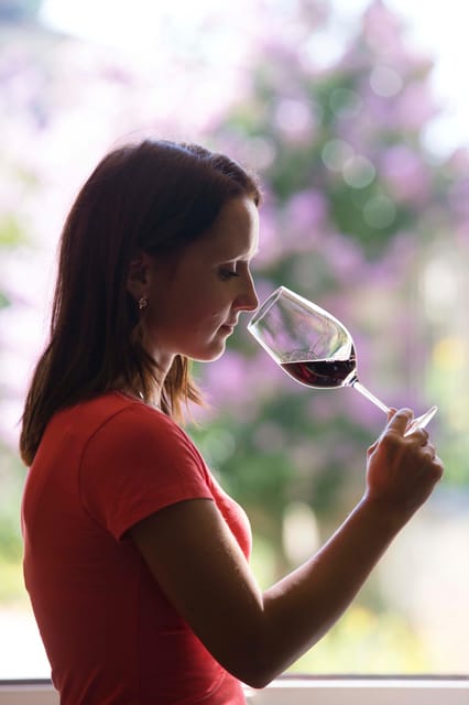 Château Olivier: One Hour Vineyard Tour with Wine Tasting - Walking through 60 hectares and 13 soil types