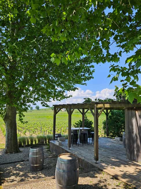 Château Petit Mangot's aperitif: charcuterie, cheeses, and wines - A small Saint-Émilion estate with time to talk
