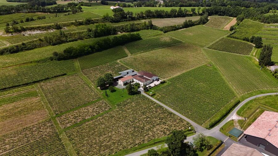 Château Petit Mangot's aperitif: charcuterie, cheeses, and wines - Seeing how red wine is made in the cellar