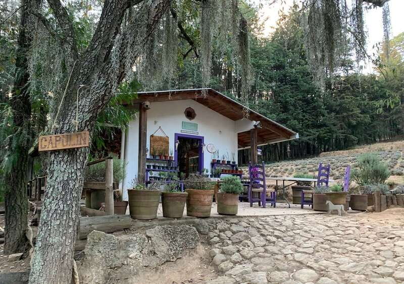 Chautla's Castle, Lavender Farm, and Valquirico Private Tour - A Puebla day built around three very different places